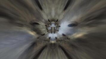 A blurry image of a large bird with a large head video