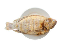 salt crusted grilled Red Tilapia fish on a white plate. high angle view. on transparent background png