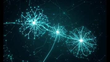The camera slowly pans across an intricate network of neurons, revealing branching synapses and pulsating electric signals video