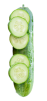 Side view of fresh green cucumber with slices in circle shape in stack isolated with clipping path in file format png