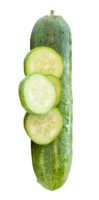 Top view of fresh green cucumber with slices in circle shape in stack isolated with clipping path in file format png