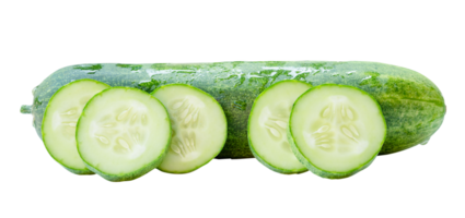 Side view of fresh green cucumber with slices in circle shape in stack isolated with clipping path in file format png