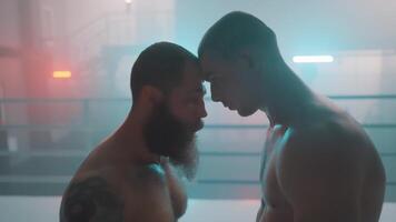 Two men with beards standing in a boxing ring video