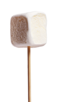 marshmallow on stick isolate on transparent background png