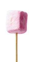 marshmallow on stick isolate on transparent background png