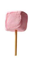 marshmallow on stick isolate on transparent background png