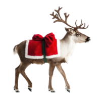 Santa Reindeer side view isolate on transparent background png