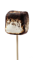 Burned marshmallow on stick isolate on transparent background png