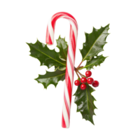 Candy cane with christmas holly isolate on transparent background png