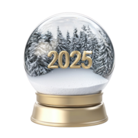 2025 dentro nieve globo frente ver aislar en transparente antecedentes png