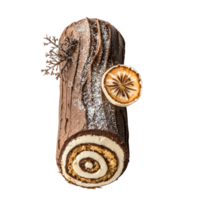 Yule log cake top view isolate on transparent background png