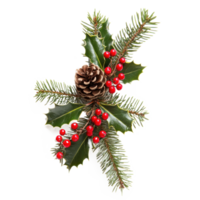 Christmas composition of pine branches with red berries, holly and pine cones isolate on transparent background png