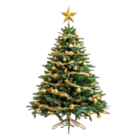 Beautifully decorated Chistmas Tree with a golden star topper front view isolate on transparent background png