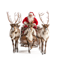 Santa Claus riding a sleigh led by reindeers isolate on transparent background png