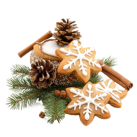 Christmas pine with frosted sugar cookies and cinnamon and fir branch front view isolate on transparent background png