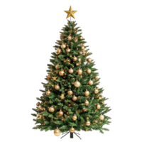 Beautifully decorated Chistmas Tree with a golden star topper front view isolate on transparent background png