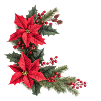 Christmas corner with red poinsettia flowers with pine twigs isolate on transparent background png