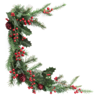 Christmas corner branches and holly with red berries isolate on transparent background png