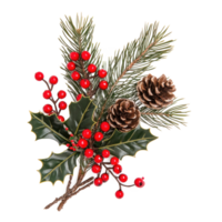Christmas composition of pine branches with red berries, holly and pine cones isolate on transparent background png
