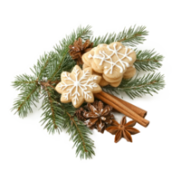Christmas pine with frosted sugar cookies and cinnamon and fir branch isolate on transparent background png