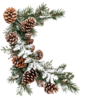 Corner Christmas Fir Branches with Snow and Pine Cones isolate on transparent background png