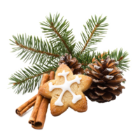 Christmas pine with frosted sugar cookies and cinnamon and fir branch front view isolate on transparent background png