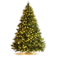 Illuminated Christmas tree front view isolate on transparent background png