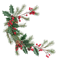 Christmas corner branches and holly with red berries isolate on transparent background png
