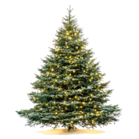 Illuminated Christmas tree front view isolate on transparent background png