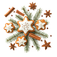 Christmas pine with frosted sugar cookies and cinnamon and fir branch top view isolate on transparent background png