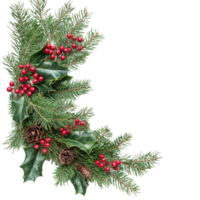 Christmas corner tree branches and holly with red berries isolate on transparent background png