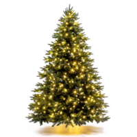 Illuminated Christmas tree front view isolate on transparent background png
