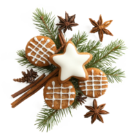 Christmas pine with frosted sugar cookies and cinnamon and fir branch top view isolate on transparent background png