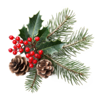 Christmas composition of pine branches with red berries, holly and pine cones isolate on transparent background png