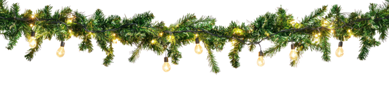 garland with pine branches and lights hanging isolate on transparent background png