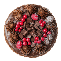 Christmas Chocolate cake top view isolate on transparent background png