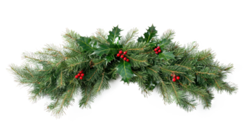 Christmas pine and holly swag isolate on transparent background png