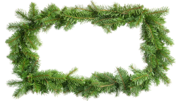 Christmas frame made of green fir isolate on transparent background png