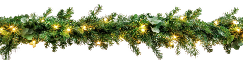 garland with pine branches and lights hanging isolate on transparent background png