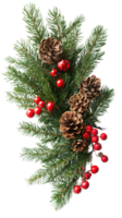 Christmas arrangement of evergreen twigs isolate on transparent background png