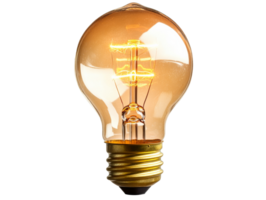 Unique vintage light bulb with glowing filament png