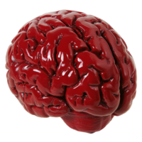 Red brain model highlighting anatomical features png
