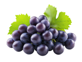 A bunch of grapes with leaves Isolated on Transparent Background High Resolution png