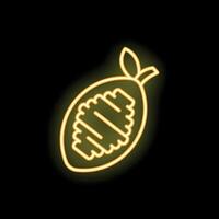 Glowing neon line cocoa fruit icon isolated on black background illustration vector
