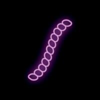 Purple neon sign showing a chain on black background vector