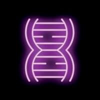 Neon dna double helix glowing on black background vector