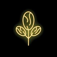 Glowing neon icon of coffee beans on branch for cafe vector