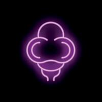 Glowing neon icon of human ovaries on black background vector
