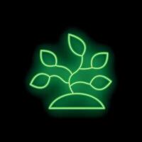 Neon sign showing a growing plant with leaves on a black background vector