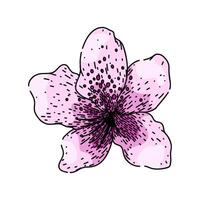 rhododendron azalea sketch hand drawn vector